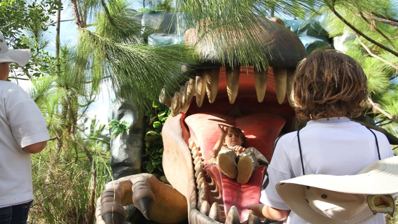 Tour Zum Gondava Park Und Zur Straußenfarm foto 7