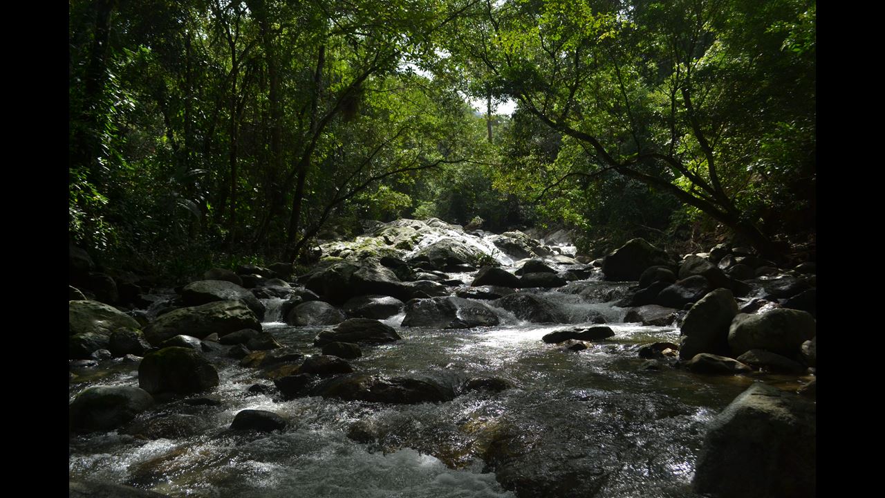 Kakaotour In Der Sierra Nevada De Santa Marta foto 8