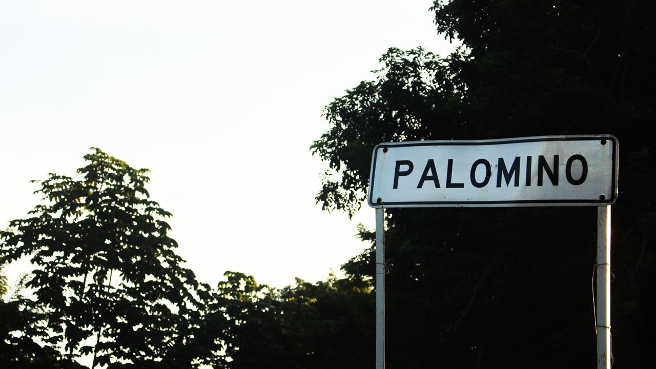Descubre Palomino Full Day Tour foto 1
