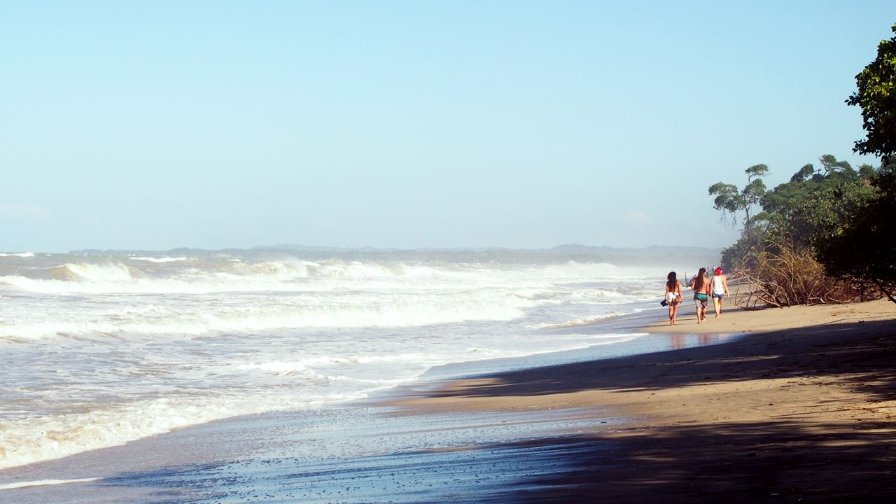 Descubre Palomino Full Day Tour foto 4