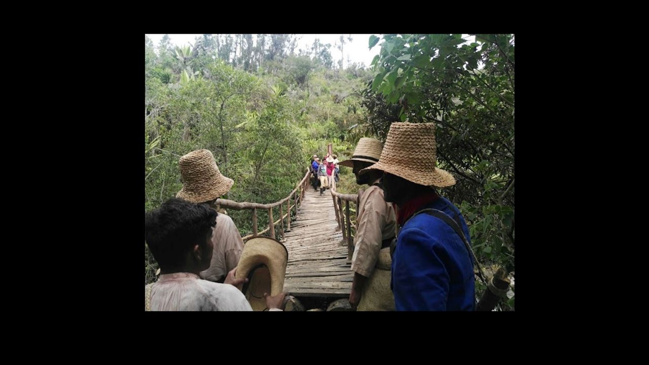 Tour Guiado Al Molino La Primavera Y El Huerto Olivanto foto 6