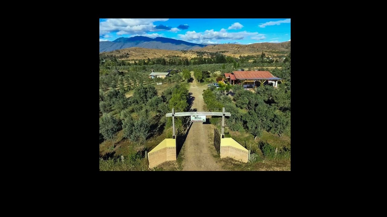 Tour Guiado Al Molino La Primavera Y El Huerto Olivanto foto 7