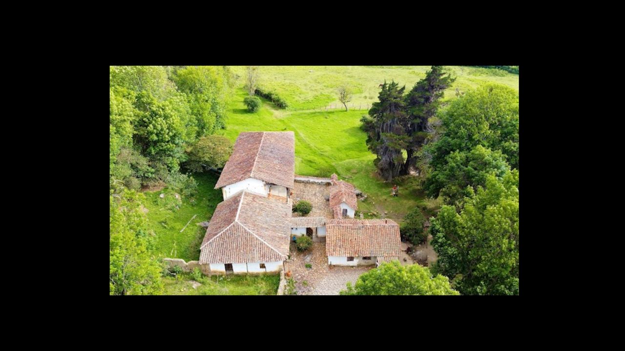 Tour Guiado Al Molino La Primavera Y El Huerto Olivanto foto 4