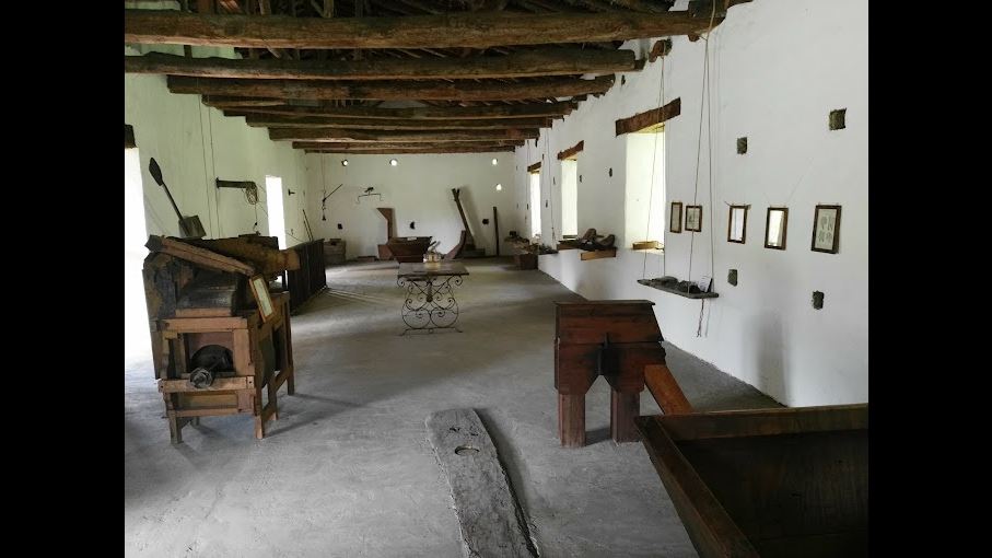 Tour Guiado Al Molino La Primavera Y El Huerto Olivanto foto 2