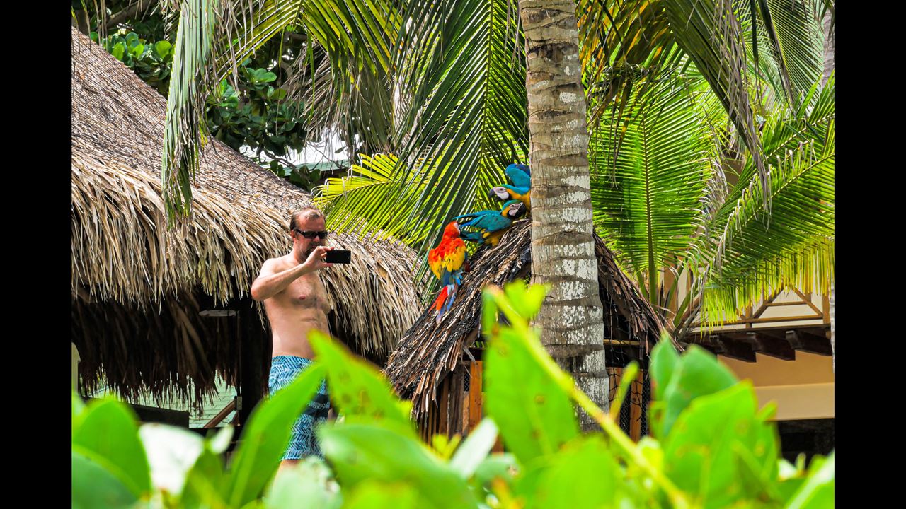 Tour A Playa Blanca - Mambo Beach Barú foto 6
