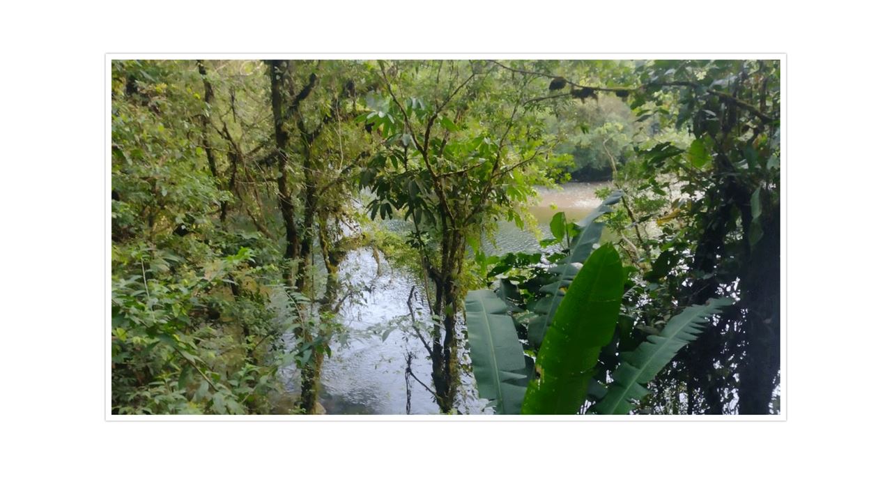Dia De Tubulação Em San Cipriano foto 5