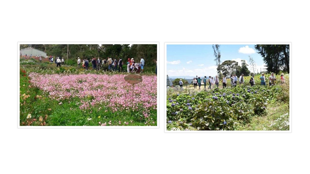 Silleteros-tour In Santa Elena – Blumenmesse 2024 foto 4