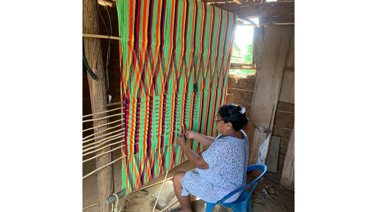 Excursion D`une Journée À Wayuu Ranchería foto 4