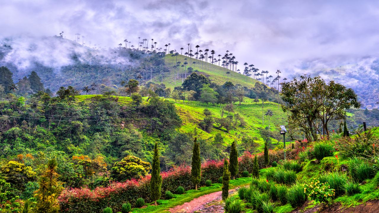 Essential Colombia 8 Days: Bogotá And The Coffee Region foto 1