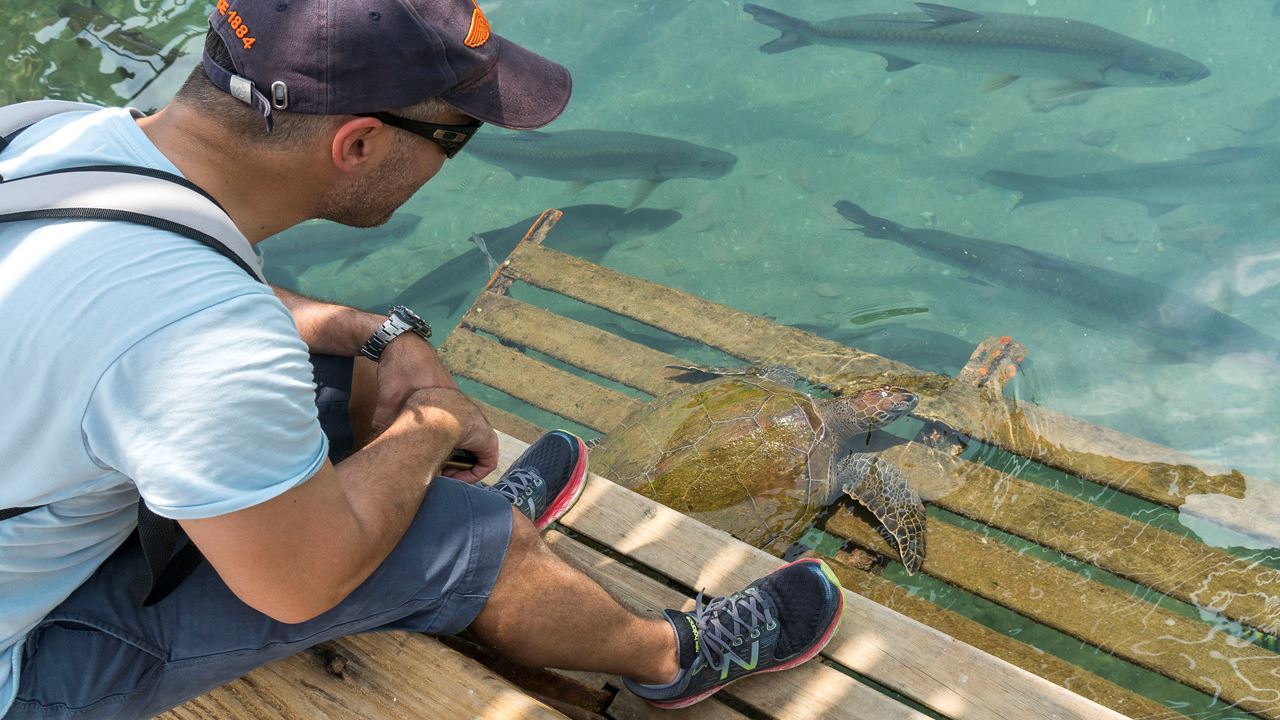 Santa Marta Completa: Caribe Y Cultura En 6 Días foto 8
