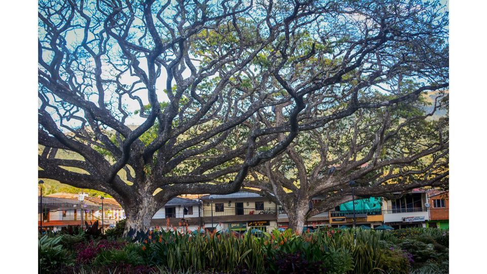 Tour A Jardín foto 3