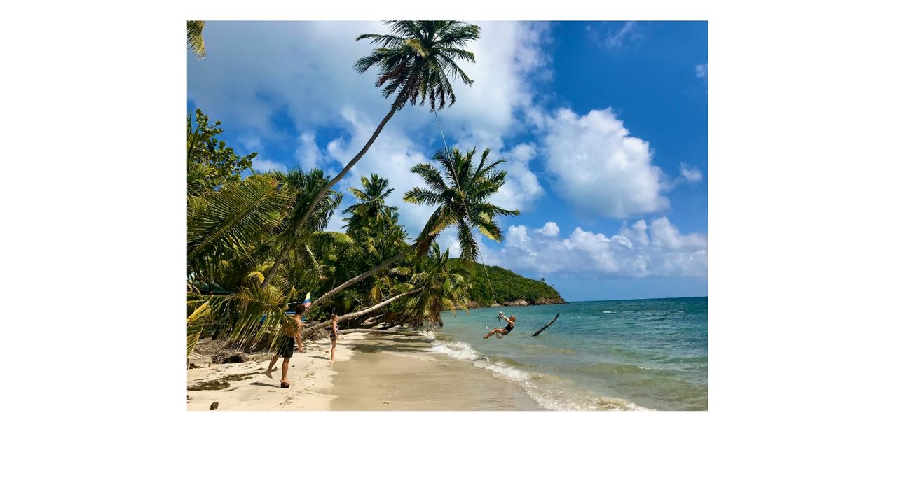 Passeio Para Johnny Cay E Aquário Natural foto 1