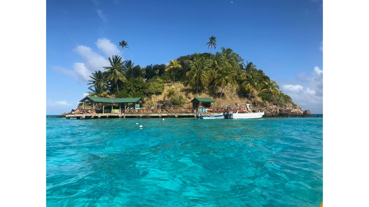 Passeio Para Johnny Cay E Aquário Natural foto 3