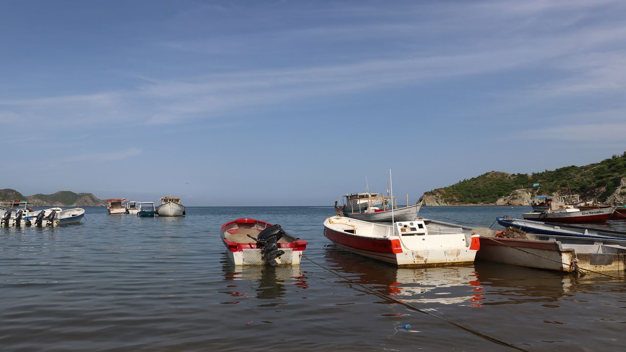 Tour To Taganga, Fishing Village foto 4