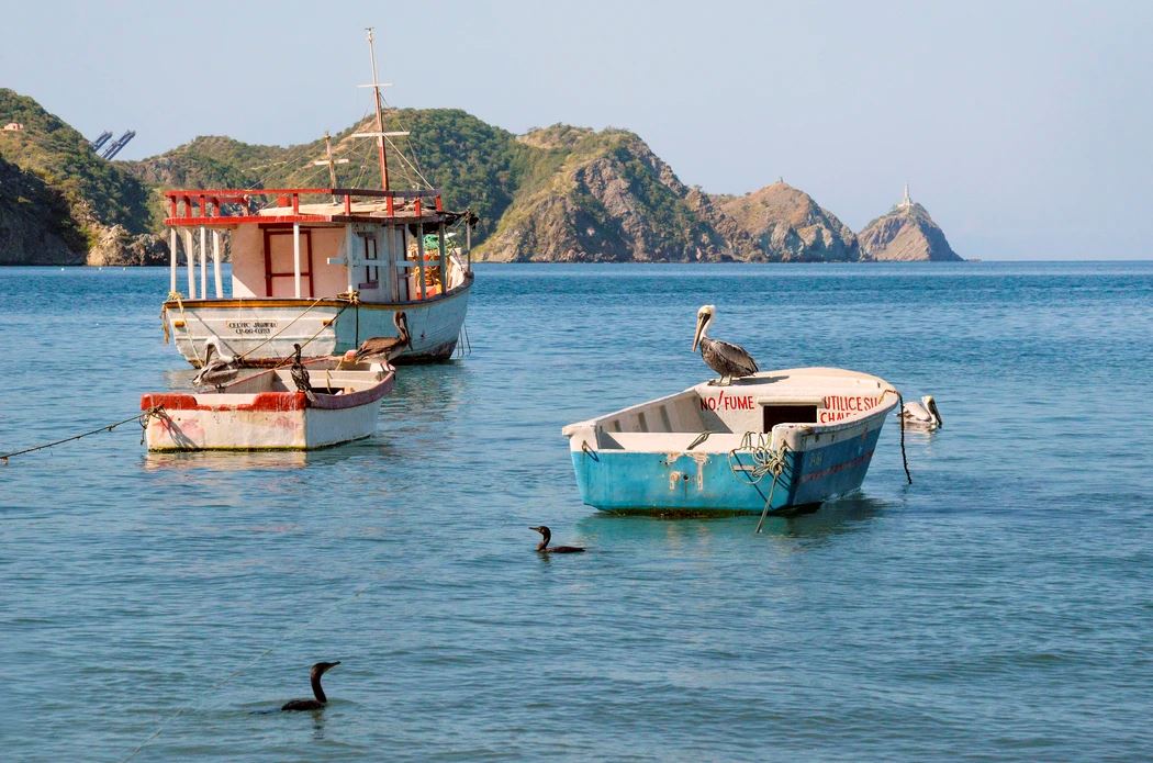 Tour To Taganga, Fishing Village foto 3