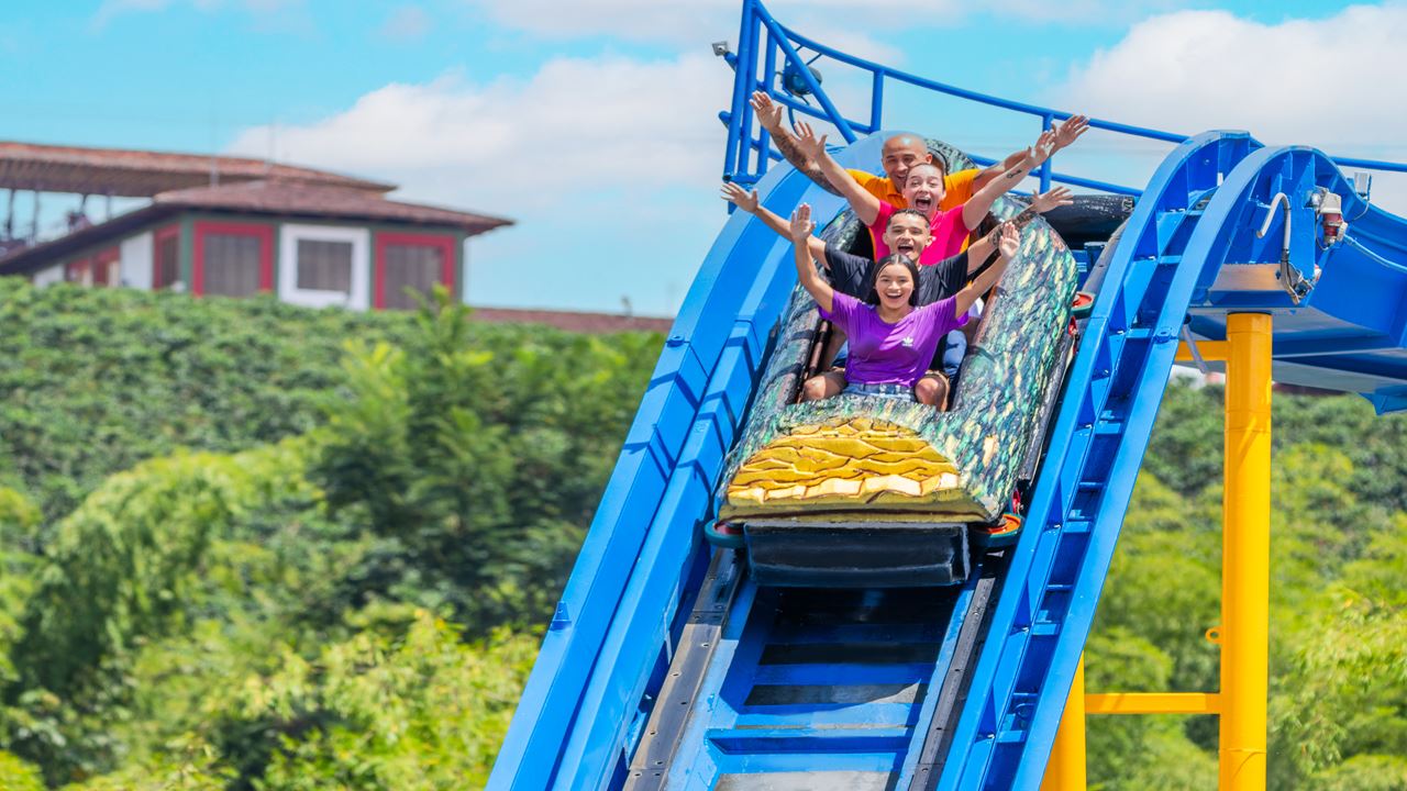 Coffee Park Tour foto 4