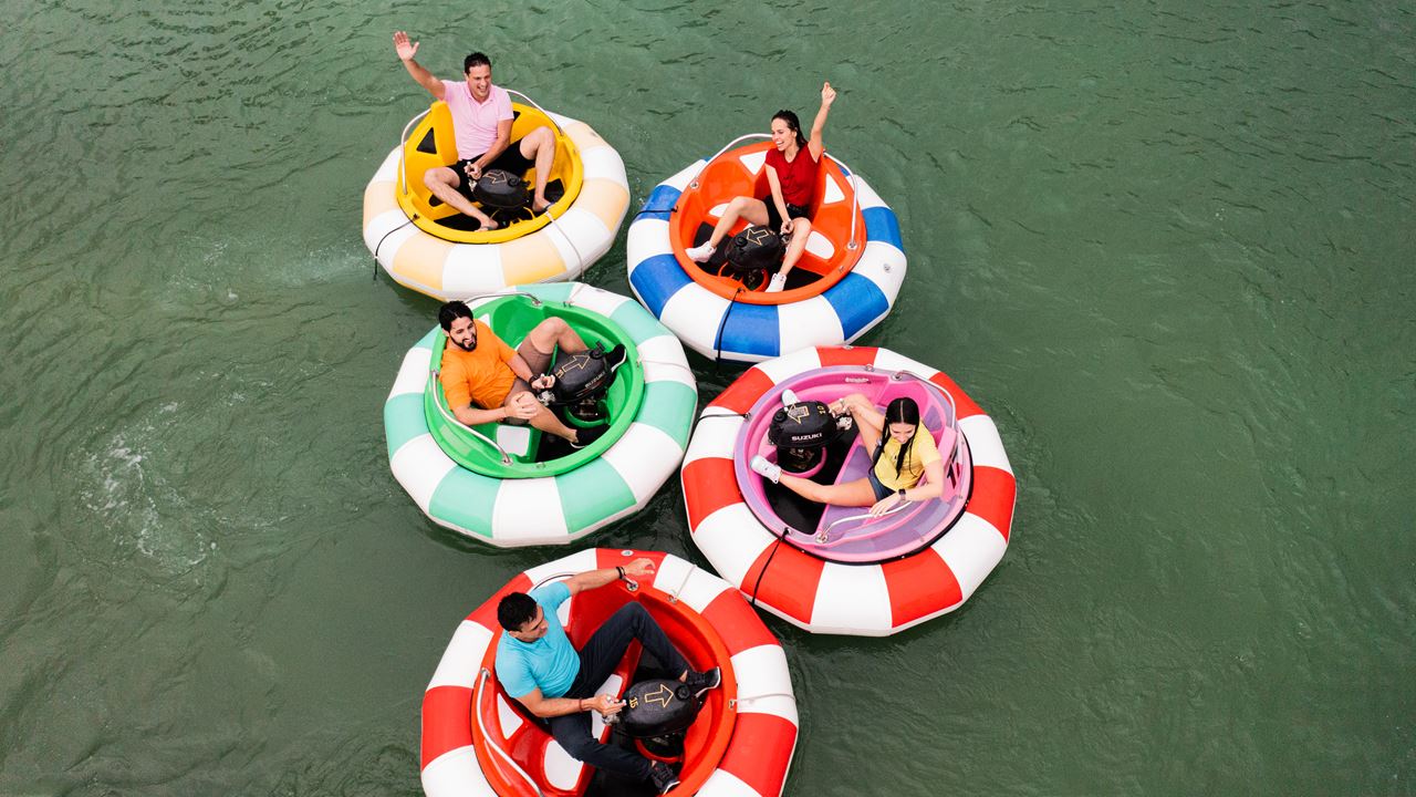 Coffee Park Tour foto 3