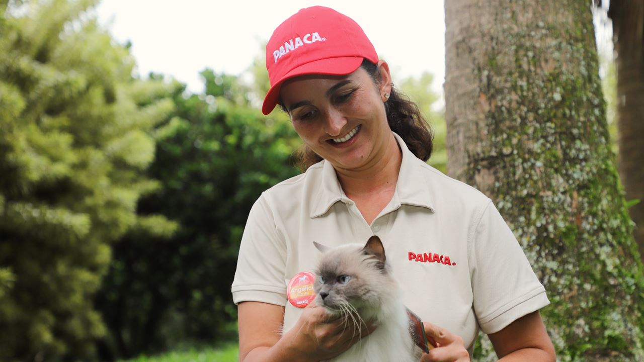 Passeio Ao Parque Panaca foto 1