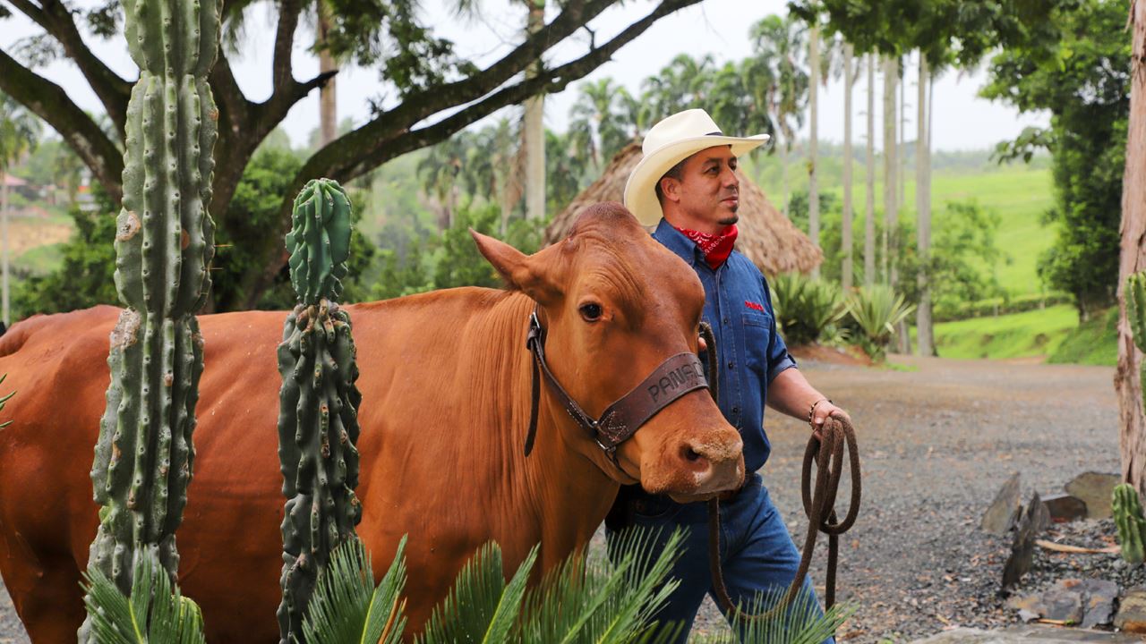 Passeio Ao Parque Panaca foto 2