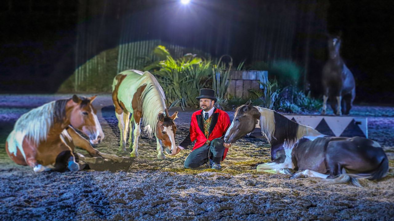 Passeio Ao Parque Panaca foto 4