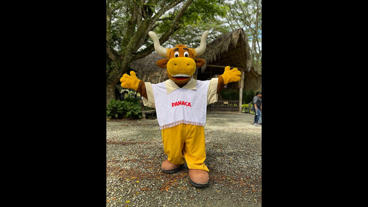 Passeio Ao Parque Panaca foto 7