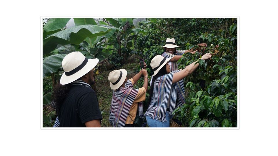 Tour De Café En Santa Elena foto 6