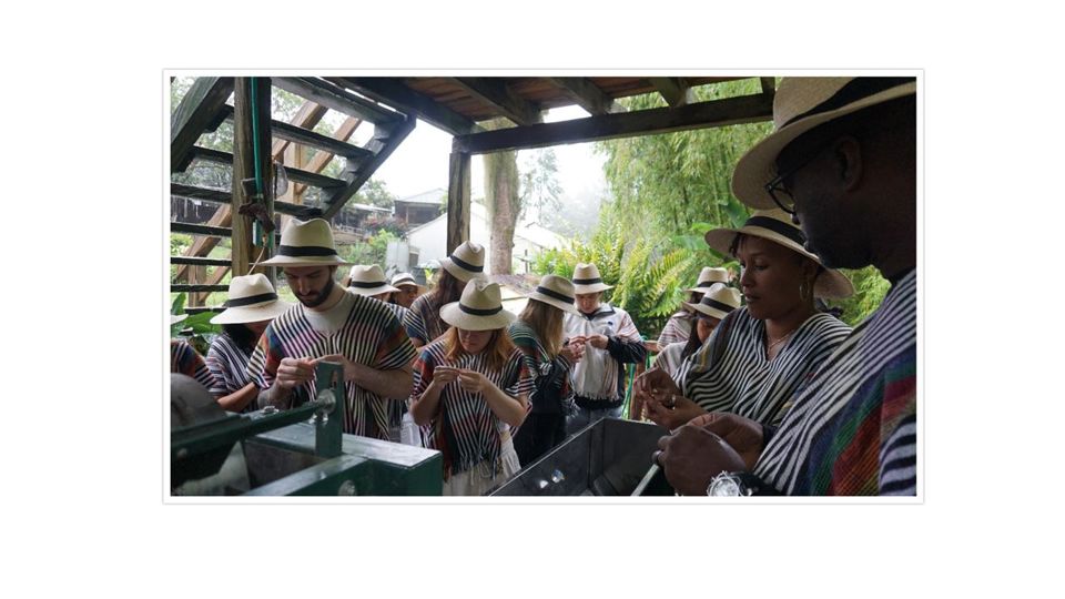 Tour De Café En Santa Elena foto 5