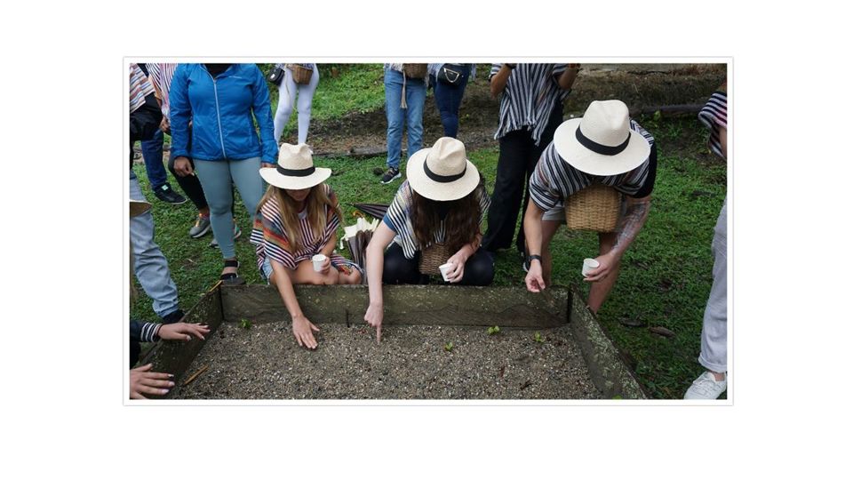 Tour De Café En Santa Elena foto 7