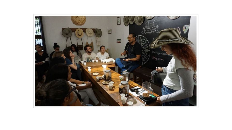 Tour De Café En Santa Elena foto 4