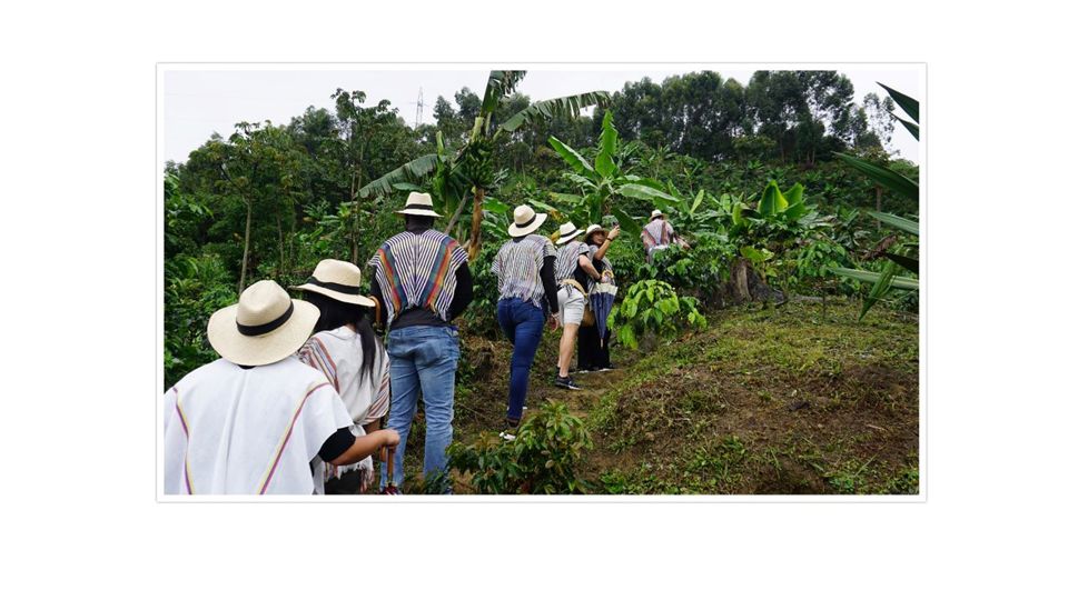 Tour De Café En Santa Elena foto 3