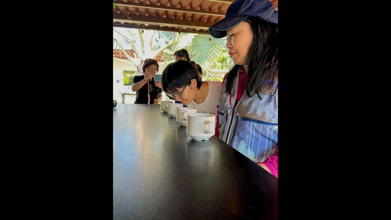 Coffee Cupping Filtering Tour foto 5