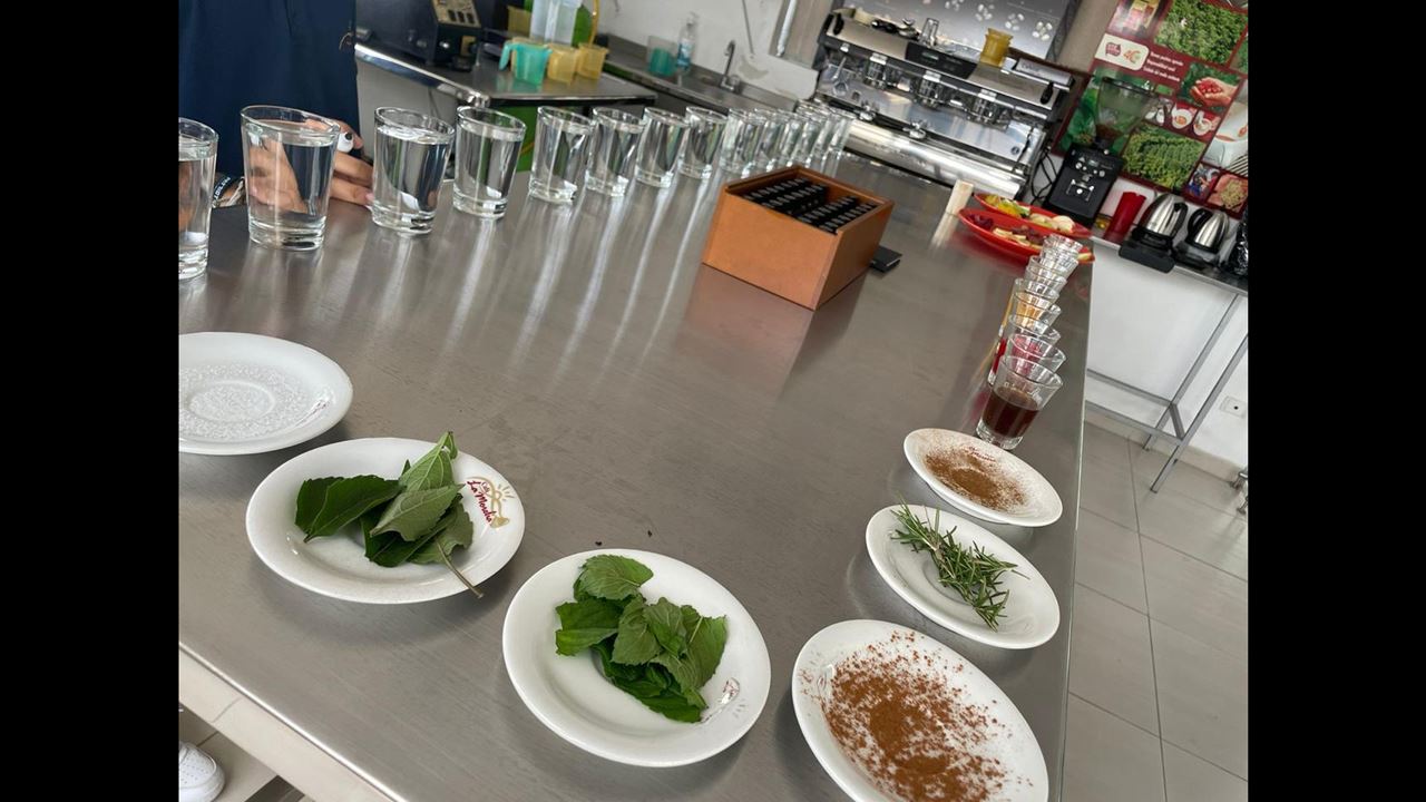 Coffee Cupping Filtering Tour foto 1