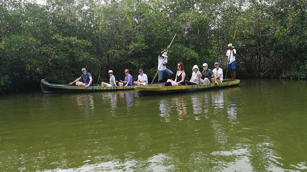 Canoe Tour Through The Mangroves Of The Boquilla (3)