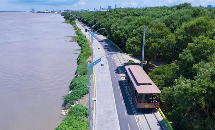 Train Tour To Puerto Mocho foto 4