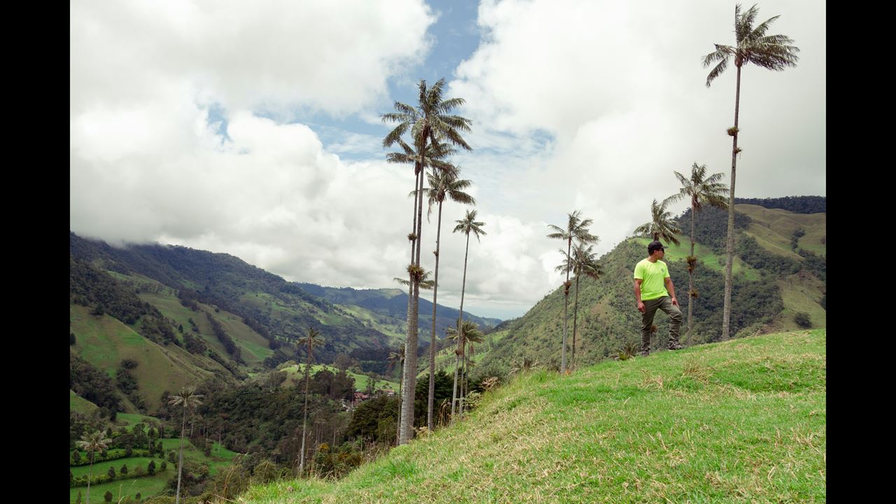 Tour Filandia, Salento Y Valle De Cocora foto 2