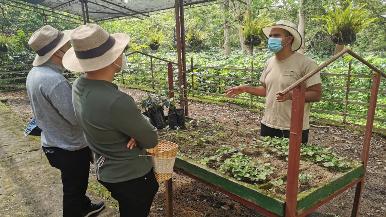 Group Tour To A Coffee Farm (2)