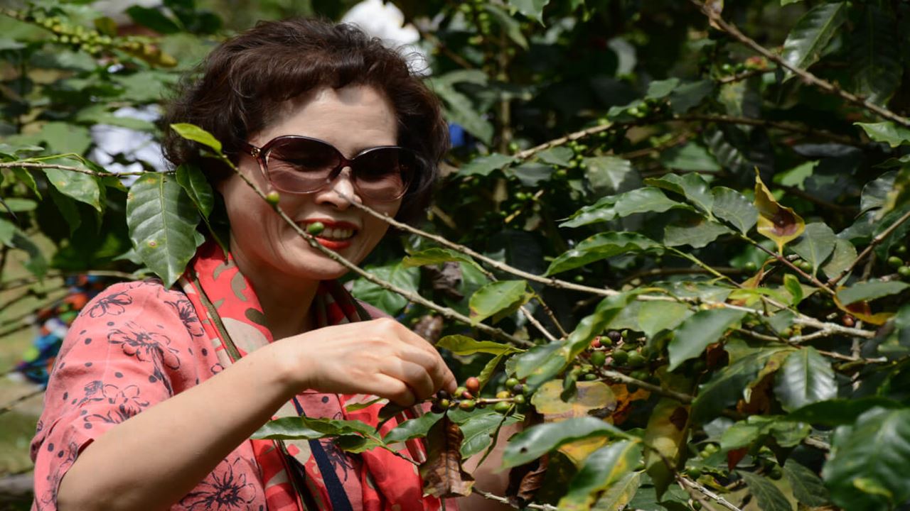 Group Tour To A Coffee Farm (1)