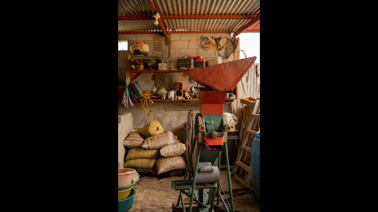 Tour De Café Tradicional foto 5