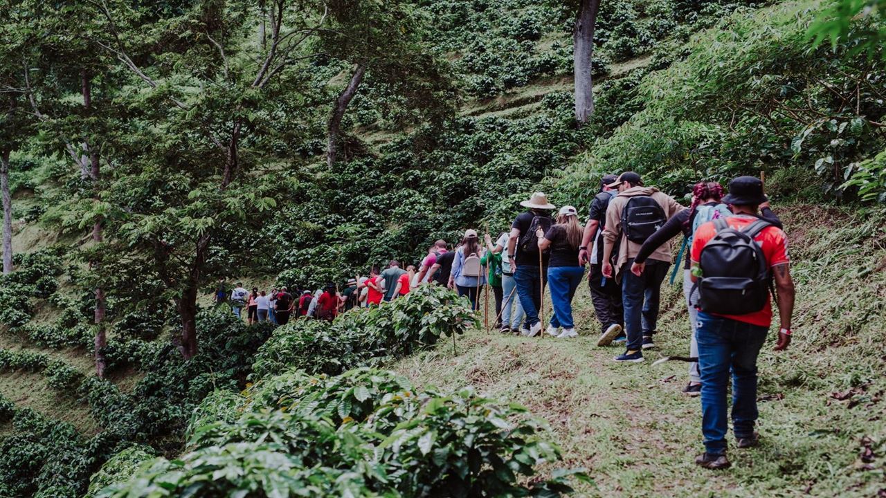 Tour De Café Tradicional foto 4