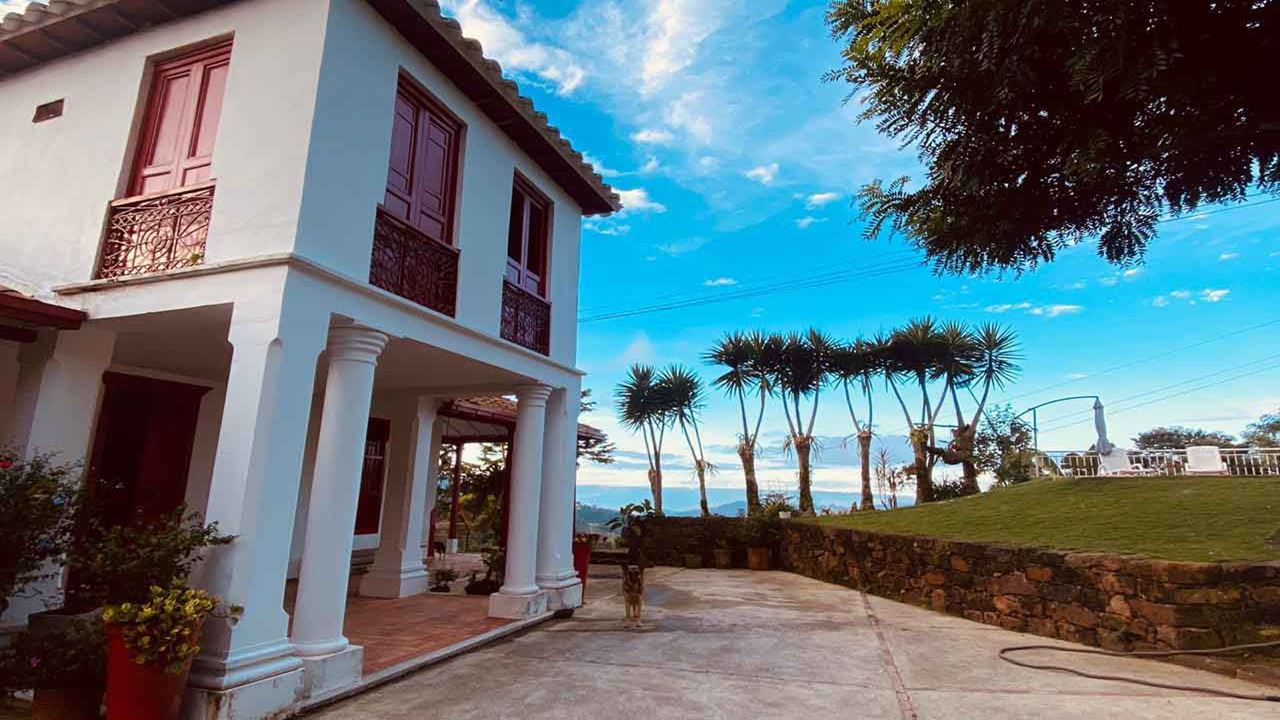 Tour De Café Tradicional foto 8