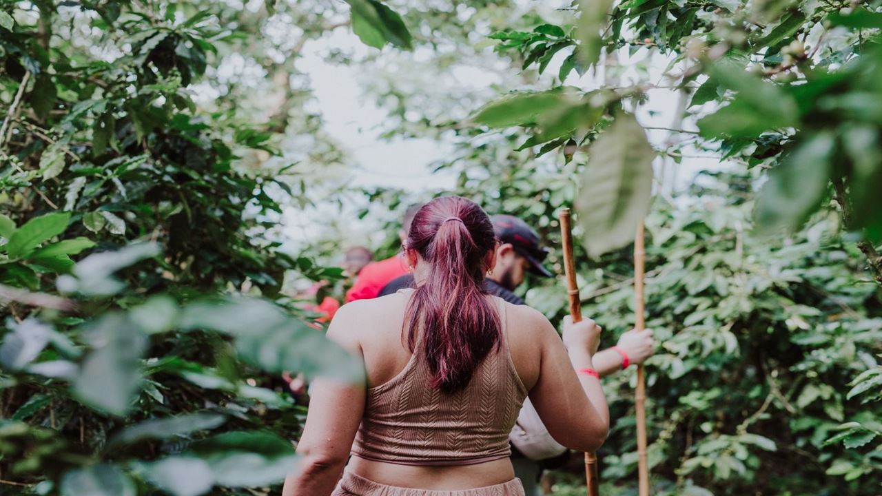 Tour De Café Tradicional foto 9
