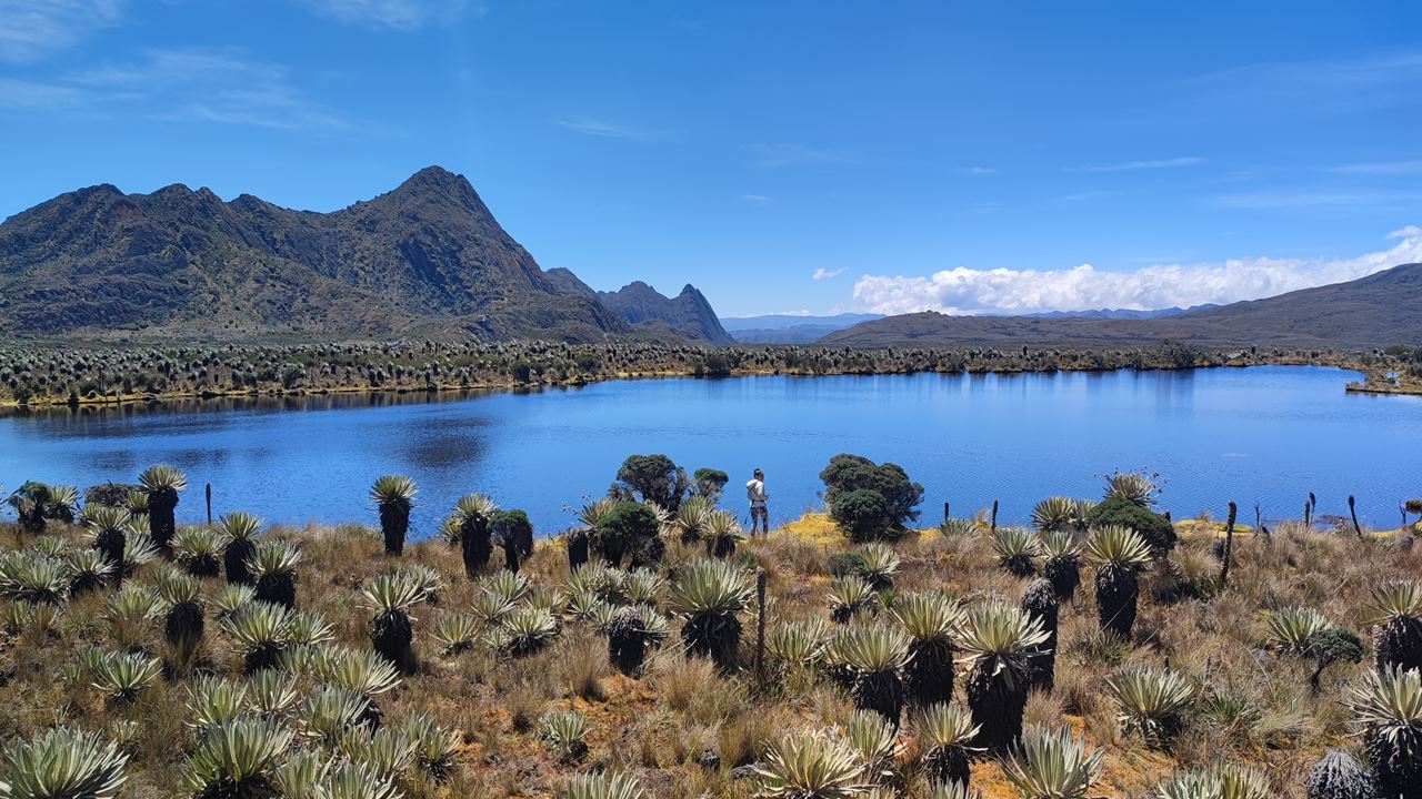 Trekking To The Sumapaz Páramo (0)
