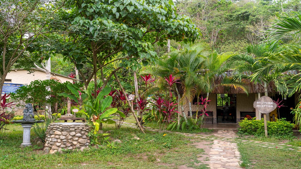 Trekking Don Diego Tayronaka foto 4