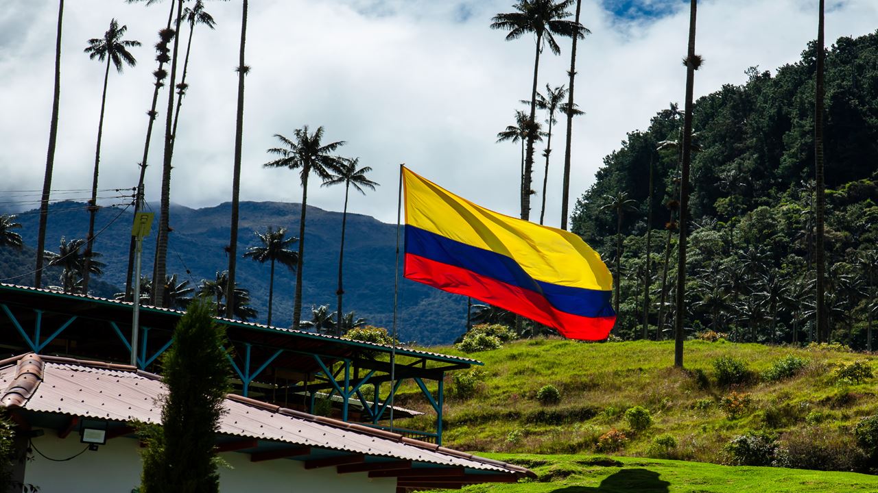 Vale Do Cocora E Café: Um Dia Inteiro Imperdível Na Região Do Café foto 1