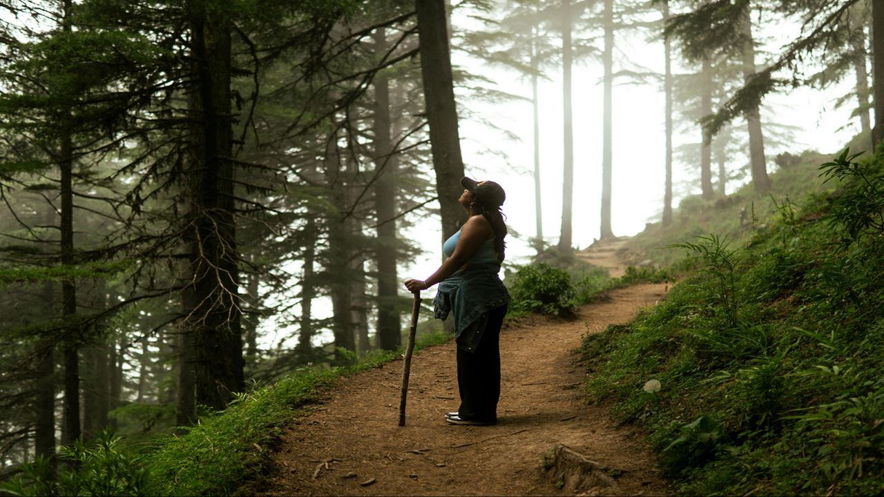 Vale Do Cocora E Café: Um Dia Inteiro Imperdível Na Região Do Café foto 2