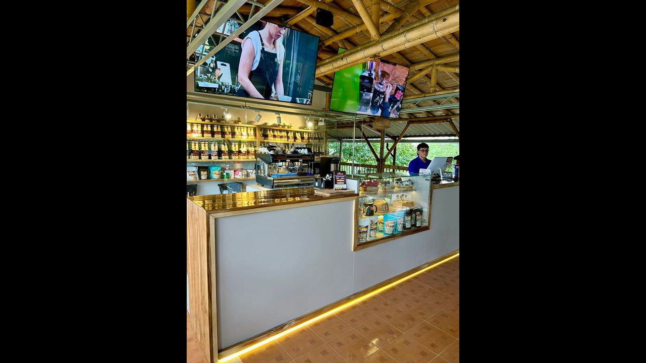 Visita A Uma Fazenda De Café Em Quindío foto 7