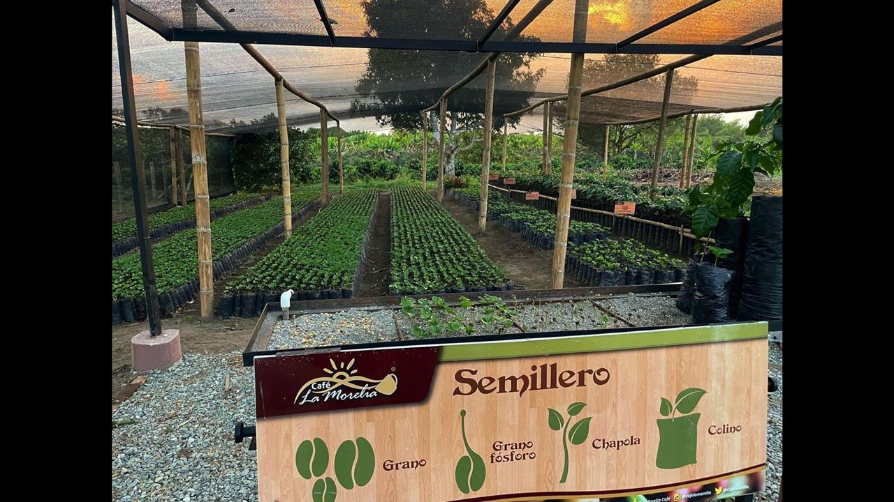 Visita A Uma Fazenda De Café Em Quindío foto 2