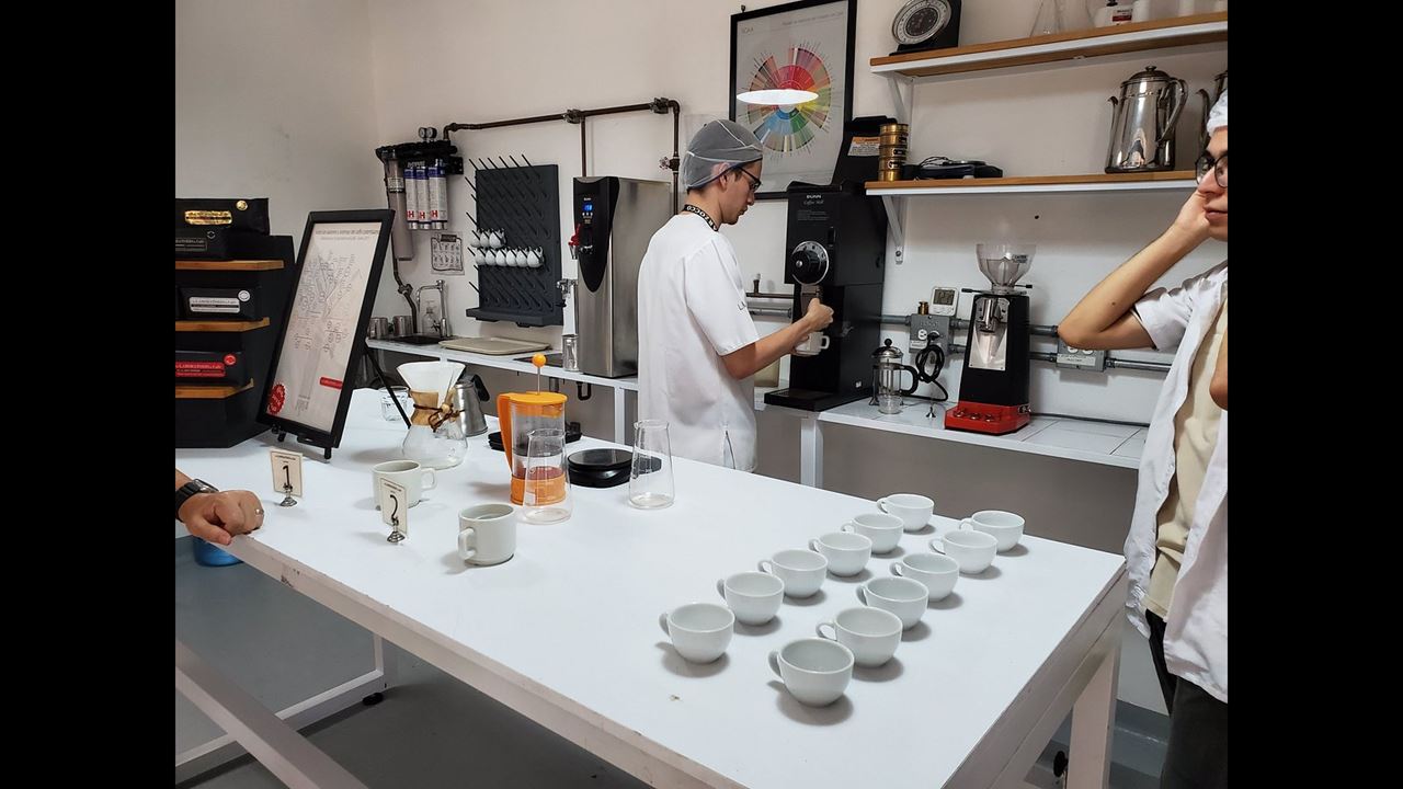 Visit To An Organic Coffee Farm With Professional Tasting foto 7