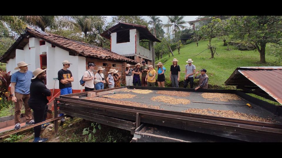 Visita A Finca De Café Orgánica Con Degustación Profesional foto 1
