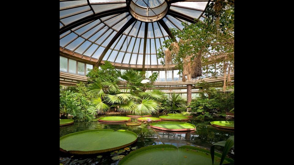 Visite O Jardim Botânico foto 2